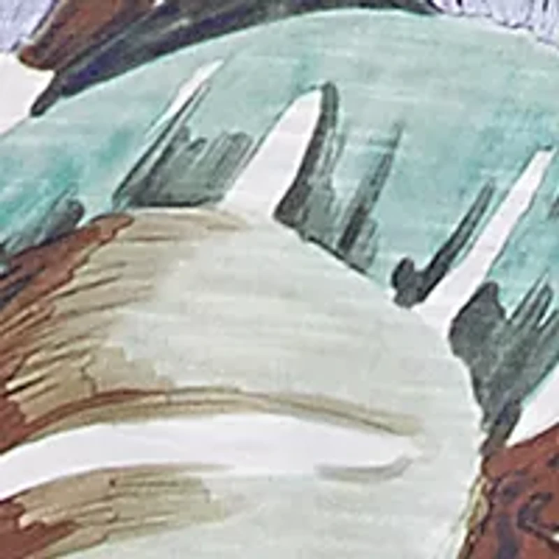 Plus Santa Fe Tropical Border Top