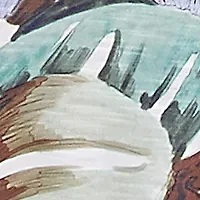 Plus Santa Fe Tropical Border Top