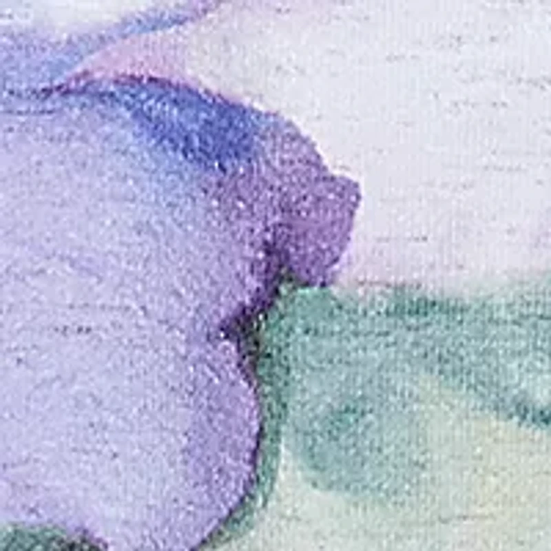 Petite Santa Fe Drama Floral Top