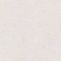 Petite Summer Solstice Lace Trimmed Top with Necklace