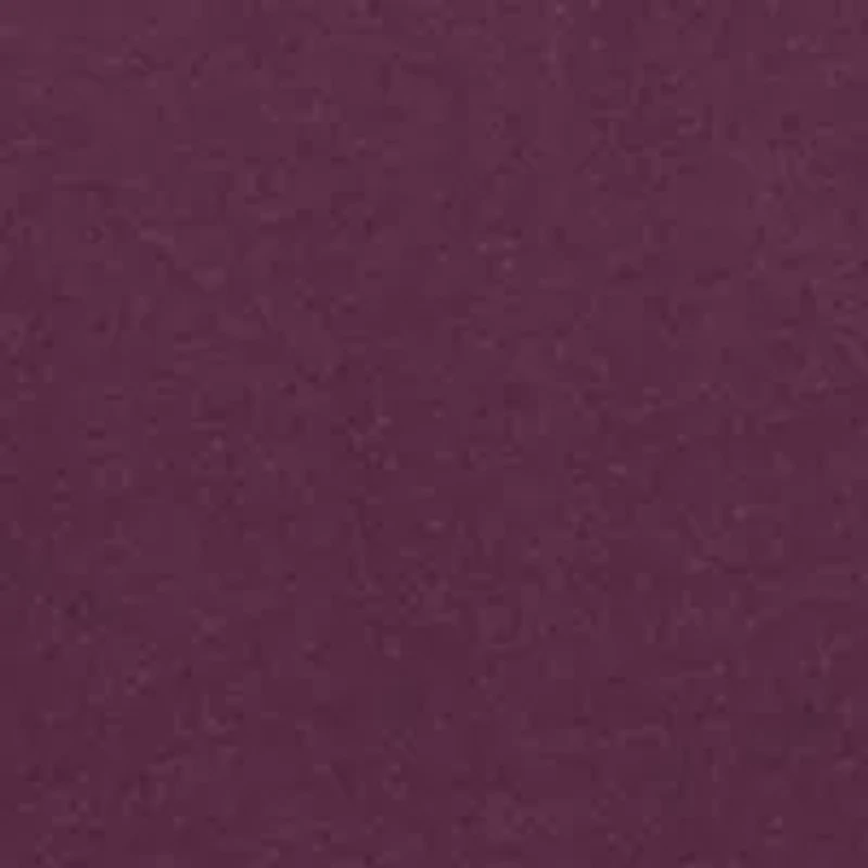 Petite Dolman Sleeve Swing Top