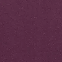 Petite Dolman Sleeve Swing Top