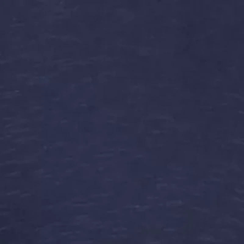 Petite Tie Front Dolman Sleeve Shirt