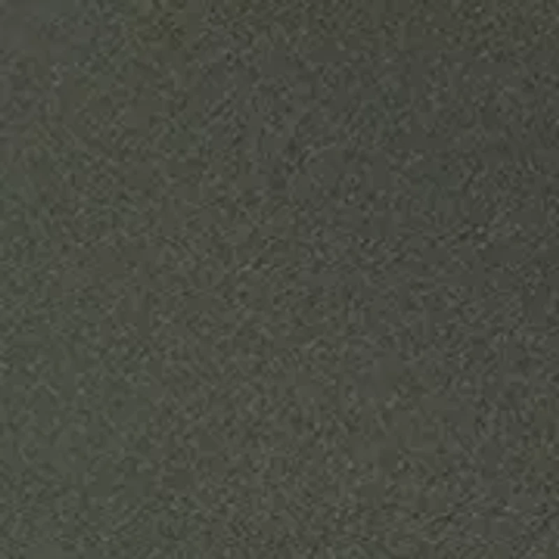 Women's Stretch Zion Halle Shorts