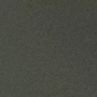 Women's Stretch Zion Halle Shorts