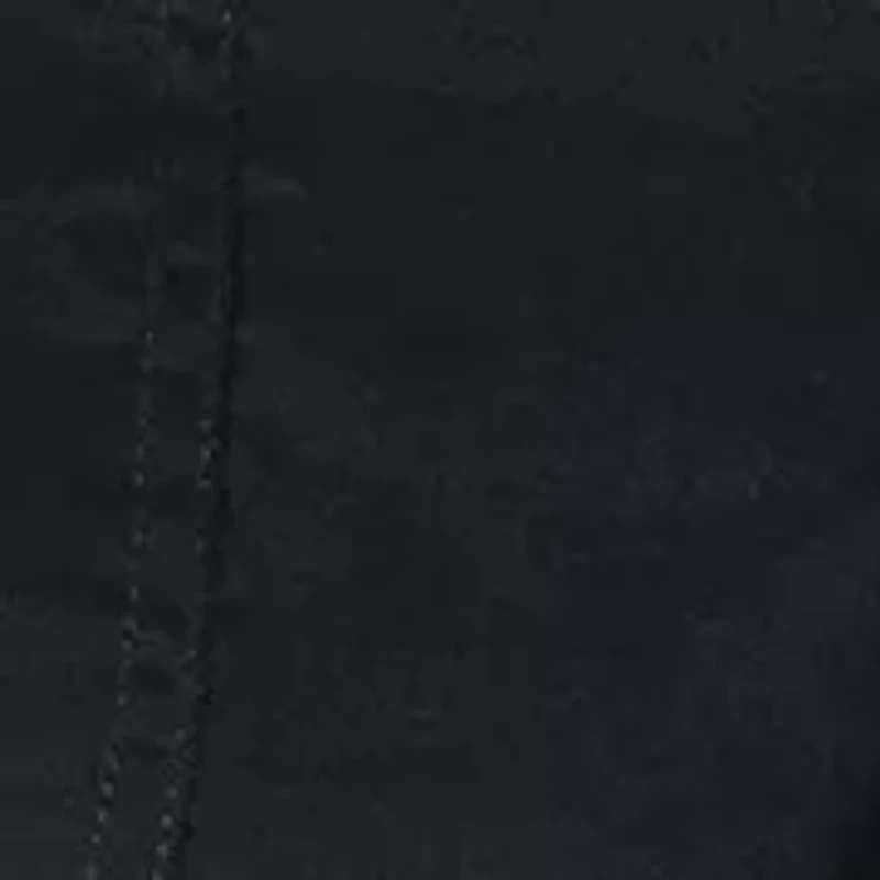 Women's Stretch Zion Cargo Shorts