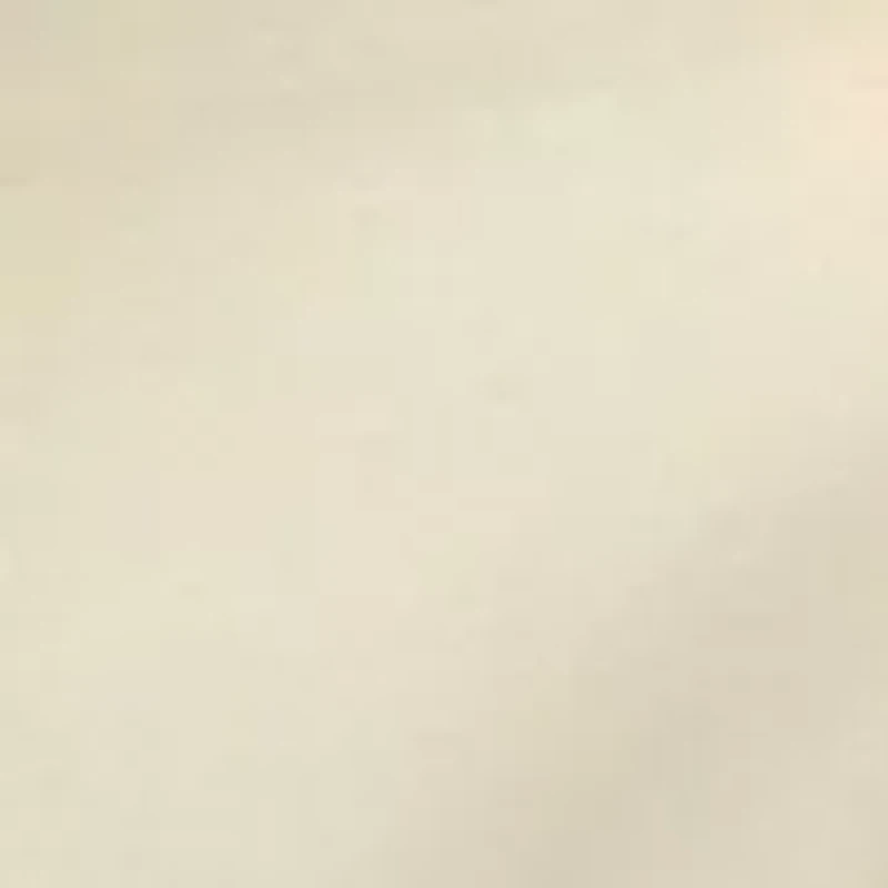 Women's Cropped Elastic Blazer