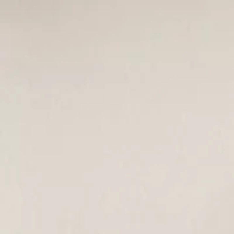 Women's Any Day Scenic Desert T-Shirt