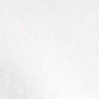 Perfect T-Shirt Iridescent Batwing