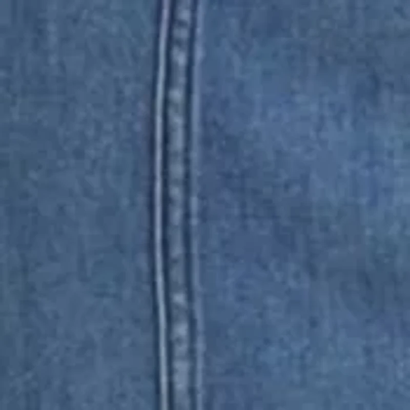 Plus Flynn Western Dress