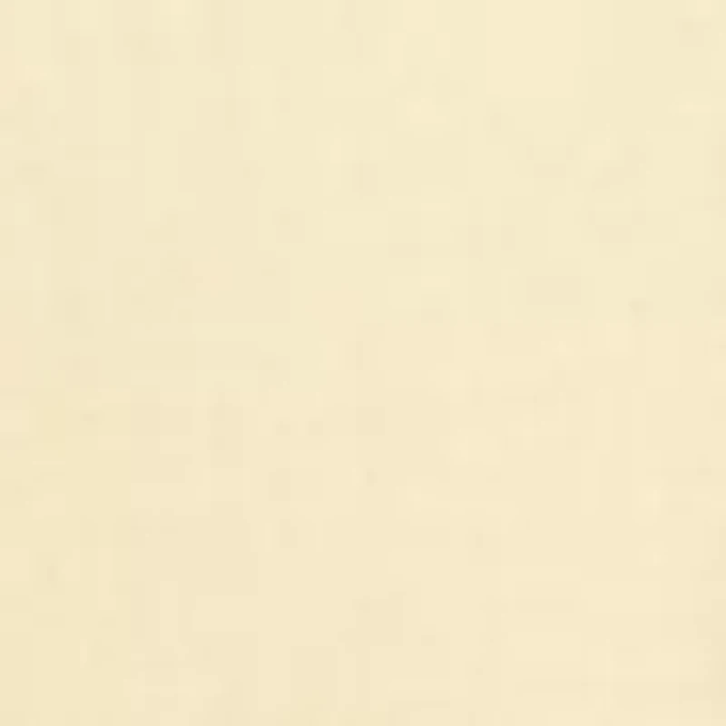 Women's Graphic Game Day Embroidered Flower T-Shirt