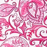 Paisley Printed Dress