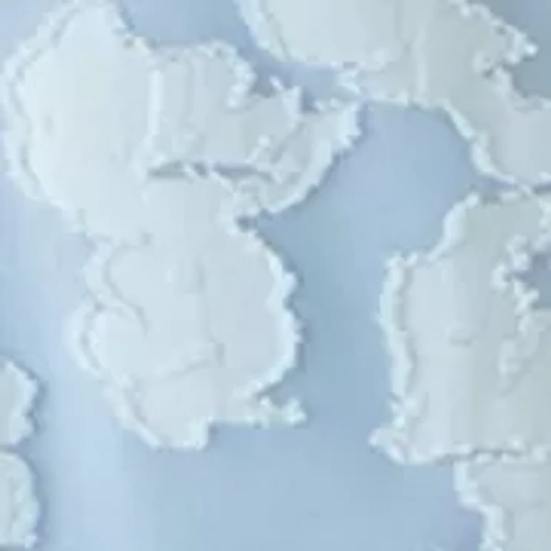 Women's Scoop Neck Burnout Top