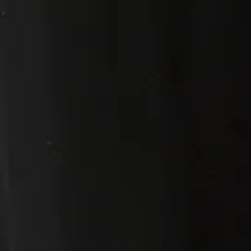 Women's Mesh Overlay Wide Leg Pants