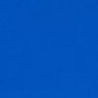 Petite Flare Sleeve Pick-Up Top