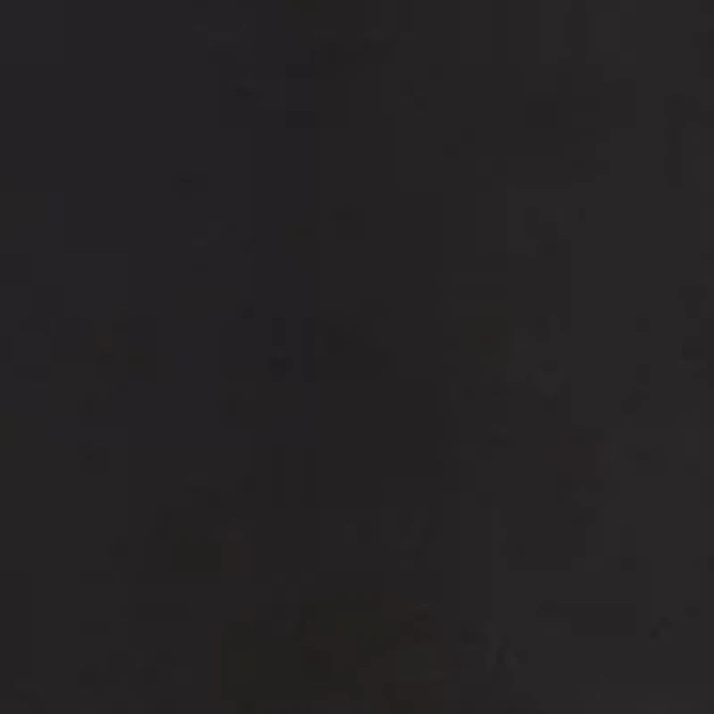 Petite Ruched Sleeve Shirtdress