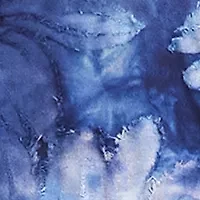 Petite Tie Dye Burnout Shirttail Top