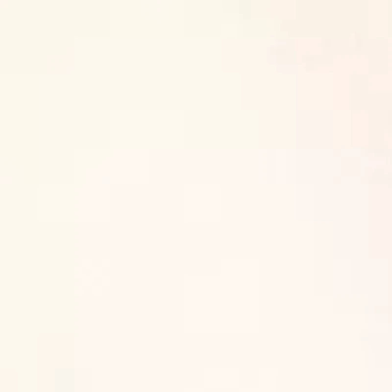 Petite Contrast Lace Sleeve Top