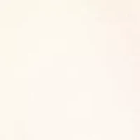 Petite Contrast Lace Sleeve Top