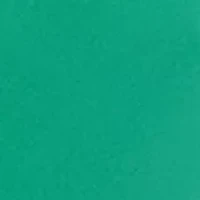 Petite Bracelet Sleeve Drape Front Crossover Top