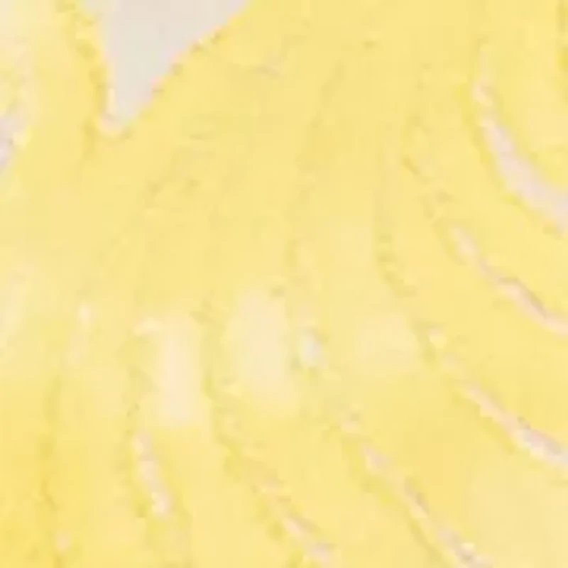 Women's 3/4 Sleeve Burnout Shirttail Top