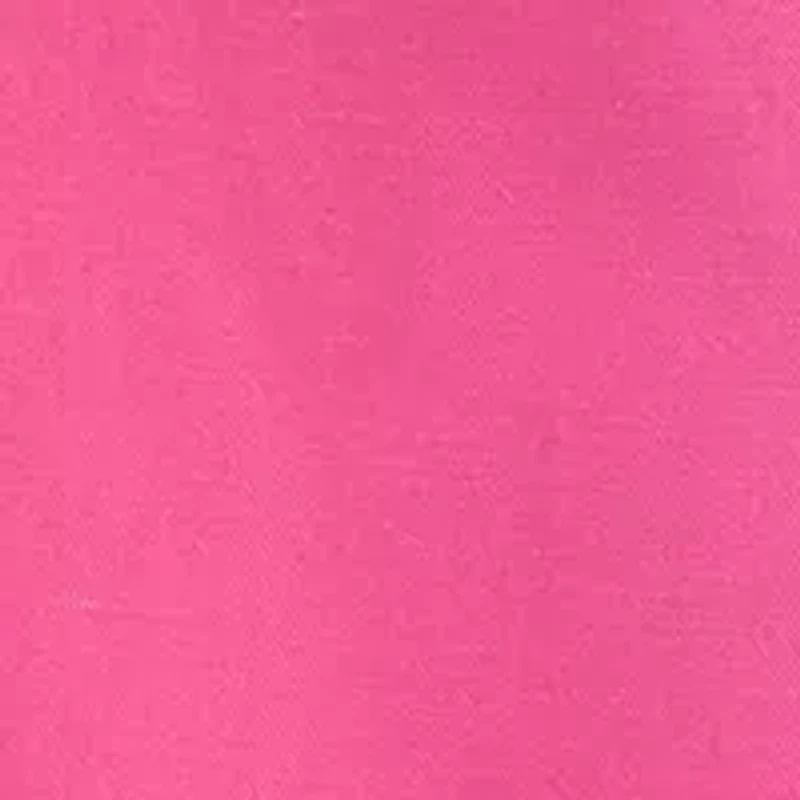 Petite High Waist Pleated Pants