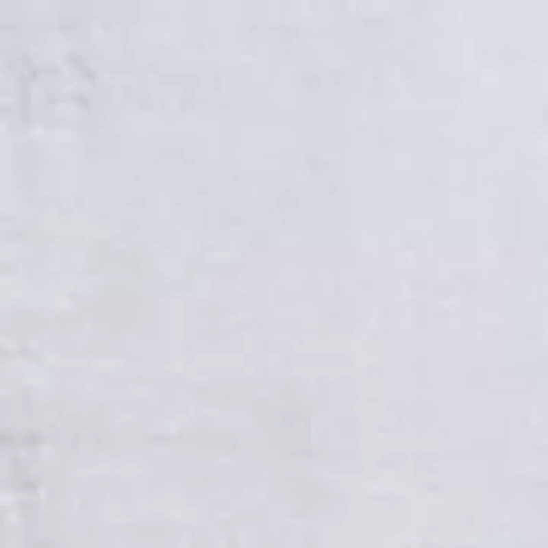 Plus Puff Sleeve Embroidered Top