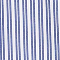 Women's Stripe Ruched Sleeve Shirtdress
