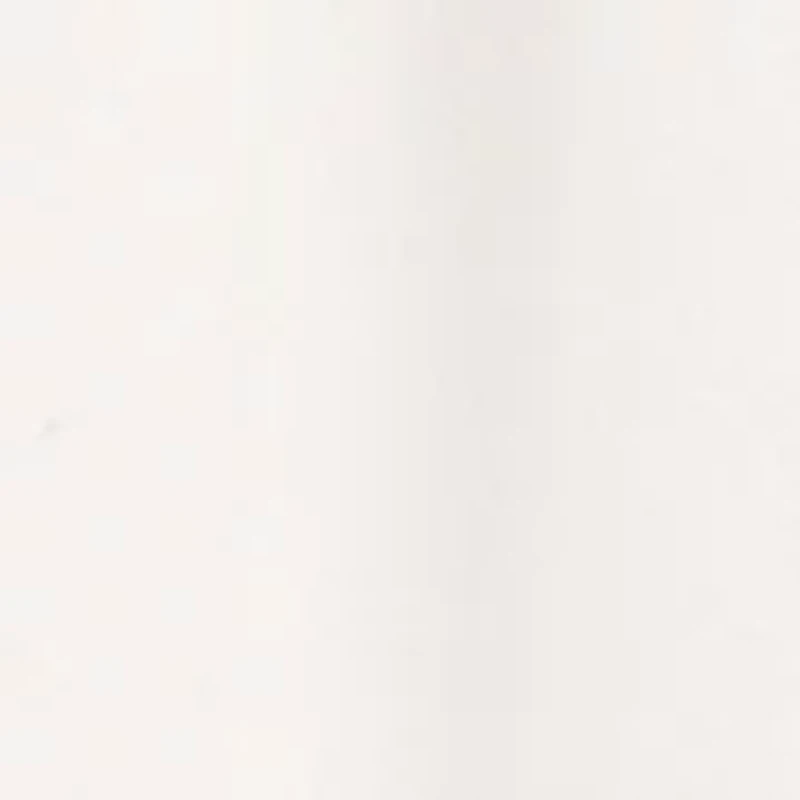 Women's Lace Applique Midi Shirtdress