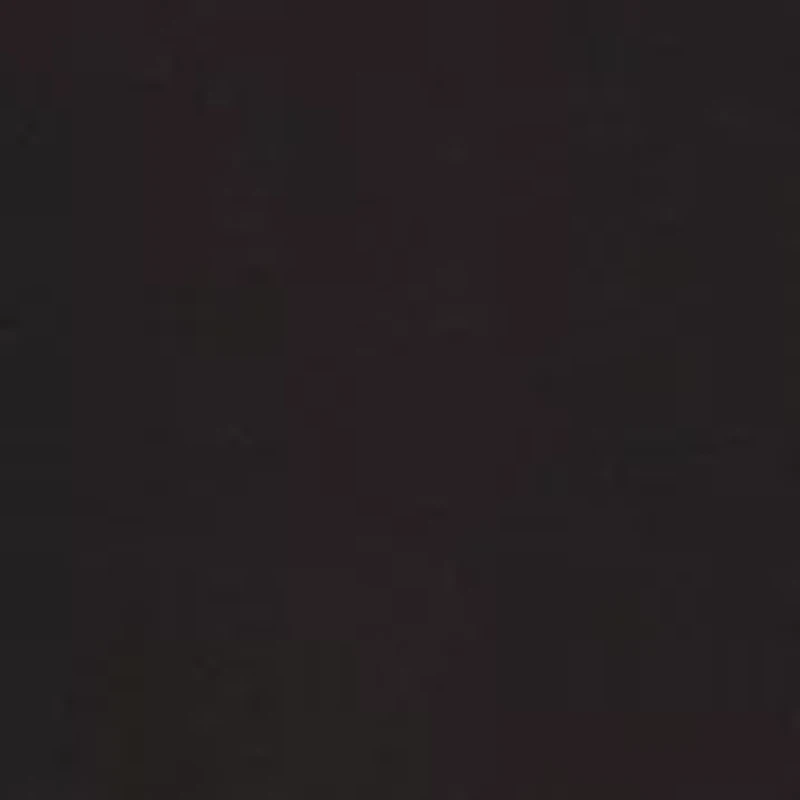 Petite Bracelet Sleeve Embroidered Asymmetric Top