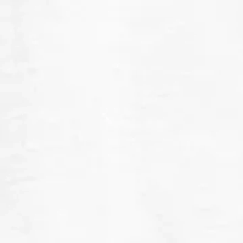 Women's Embroidered Flutter Sleeve Top