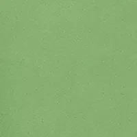 Petite Puff Sleeve Top