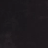 Petite Crushed Velvet Pants