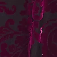 Petite Velvet Burnout Shirttail Top