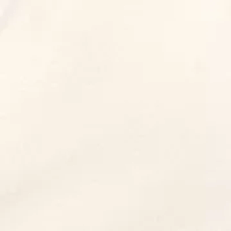 Petite Long Sleeve Crossover Side-Shirred Top