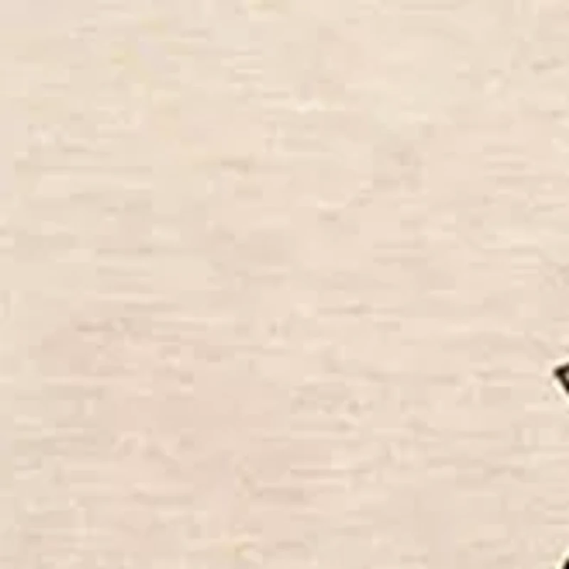 Plus Paisley Print Shirttail Top