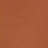 Plus Drape Front Top