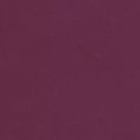 Women's Bracelet Sleeve Asymmetric Top