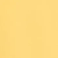 Petite Puff Sleeve V-Neck Top