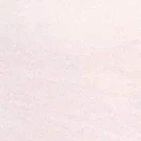 Women's Lantern Sleeve Satin Top