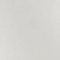 Plus Sequin Sleeve Sweatshirt