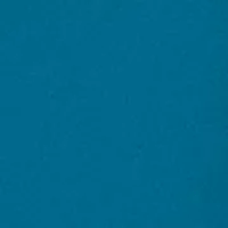 Women's Long Sleeve Collared Cowl Neck Top