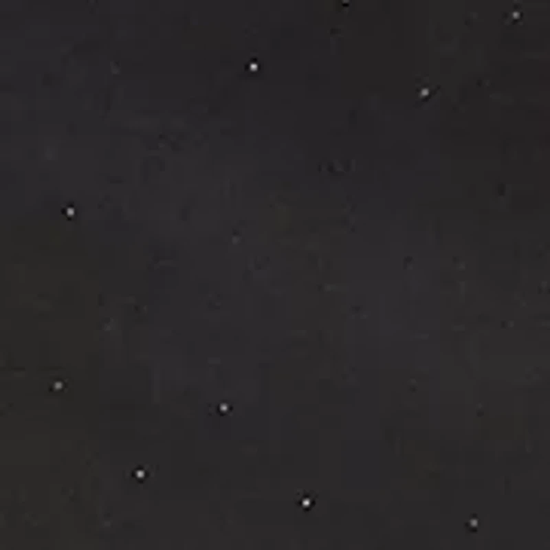 Women's Rhinestone Embellished Wide Leg Trousers