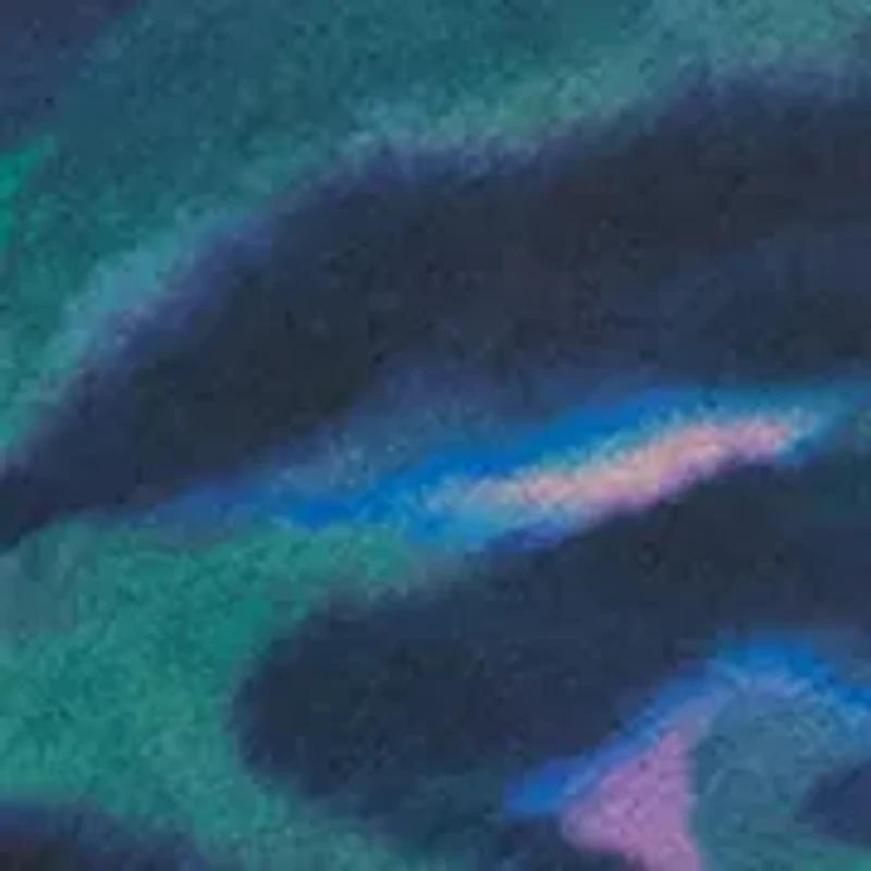 Women's Bias Cut Midi Skirt