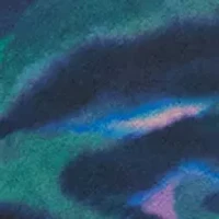 Women's Bias Cut Midi Skirt