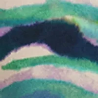 Women's 3/4 Lantern Sleeve Button-Front Print Top