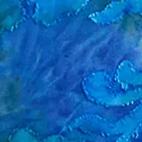 Petite Long Sleeve Burnout Top