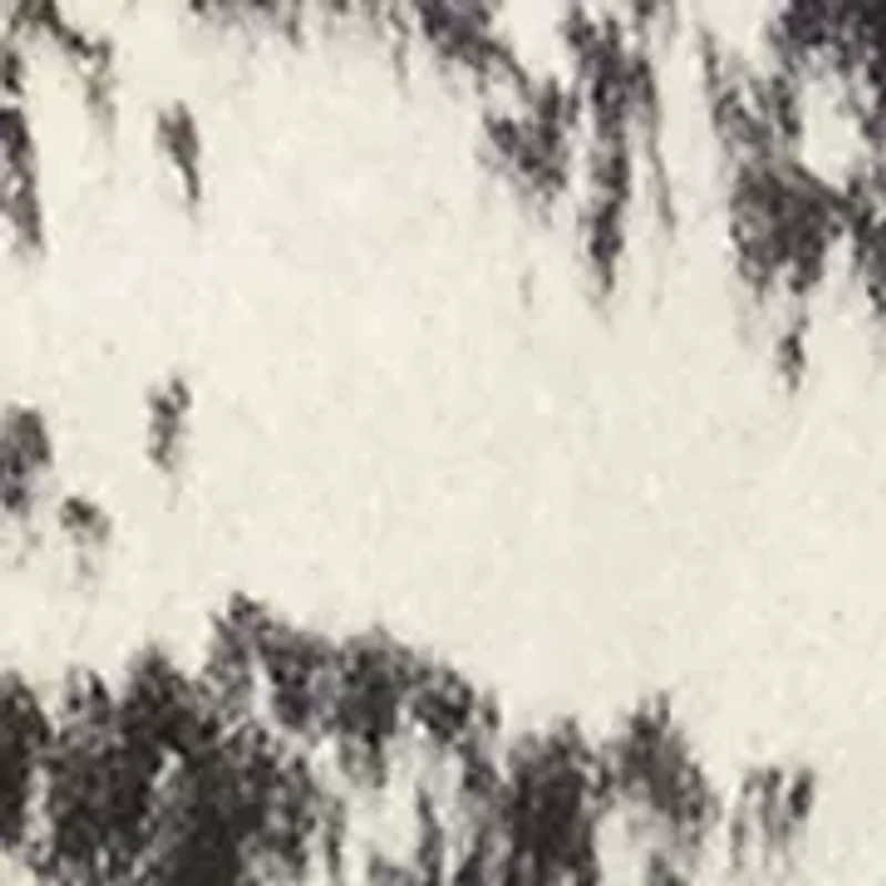 Women's Abstract Fringe Poncho