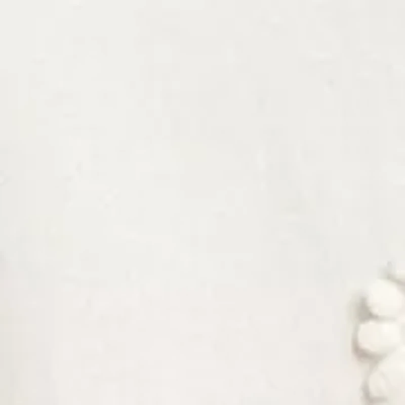 Petite Puff Sleeve Embroidered Top