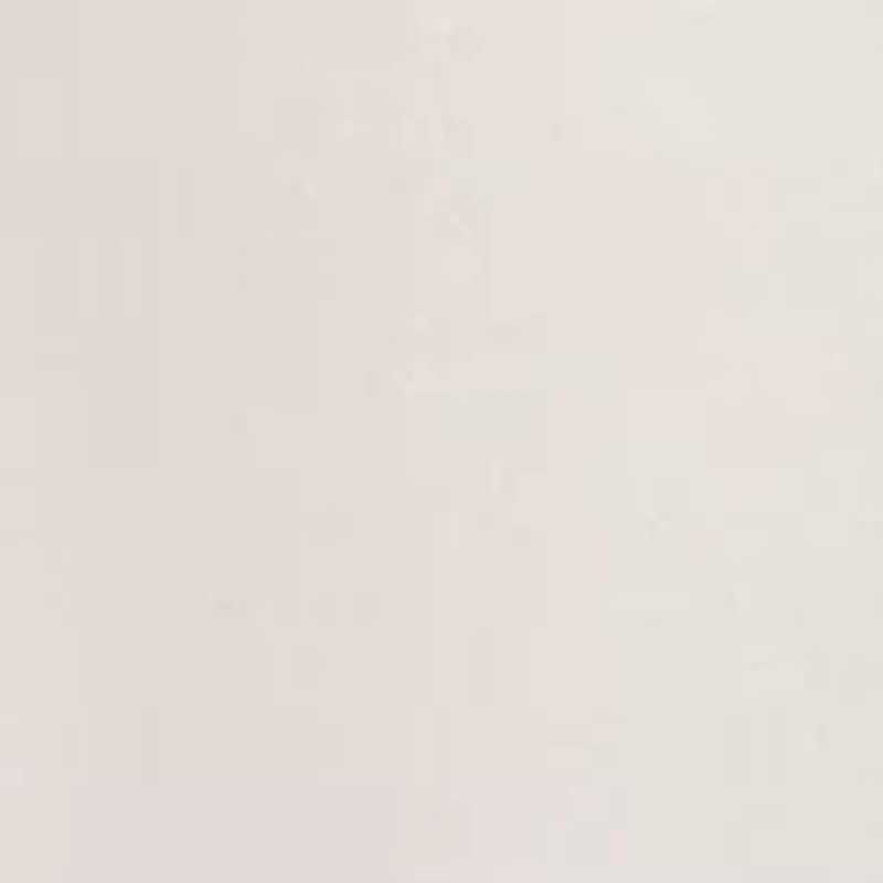 Petite Raw Hem Straight Jeans